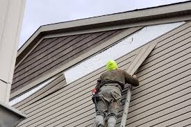 Best Vinyl Siding Installation  in Citrus Heights, CA